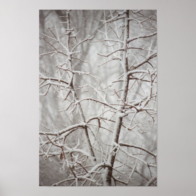Arbre dans une affiche d'orage de neige (Devant)