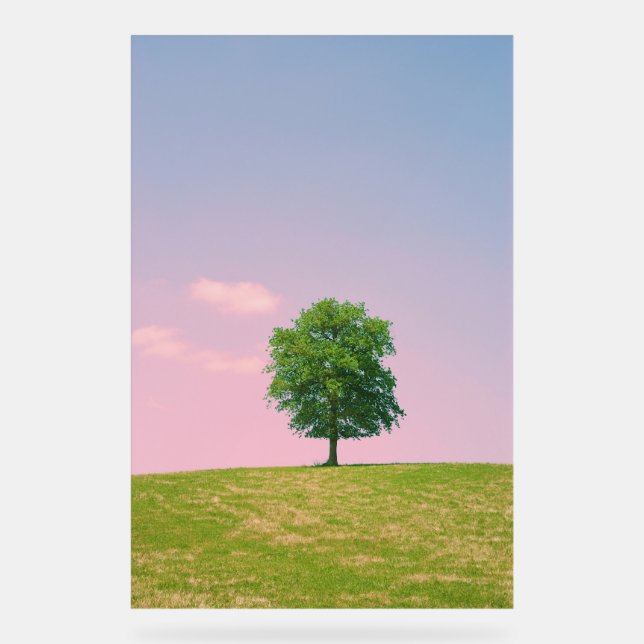 arbre dans une prairie (Recto)