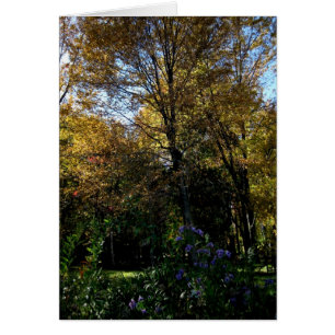 Arbre de Blank_Mauve