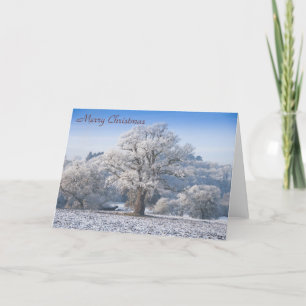 Arbre de chêne dans le givre Carte de Noël