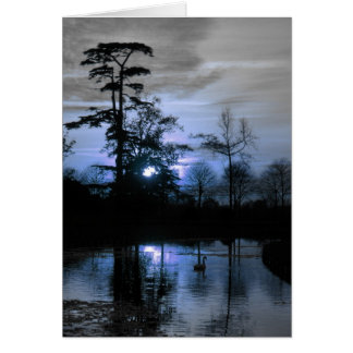 Arbre de la lune