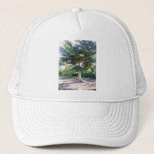 Arbre de la sagesse casquette