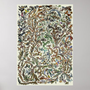 Arbre de la vie - affiche d'évolution - couleur