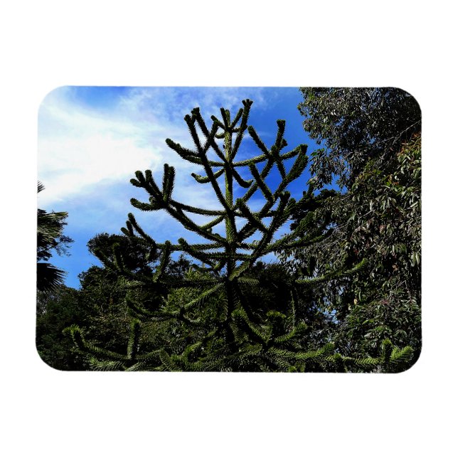 Arbre de puzzle de singe #1 Magnet (Horizontal)