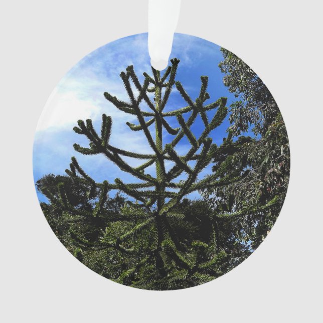 Arbre de puzzle de singe #1 ornement (devant)
