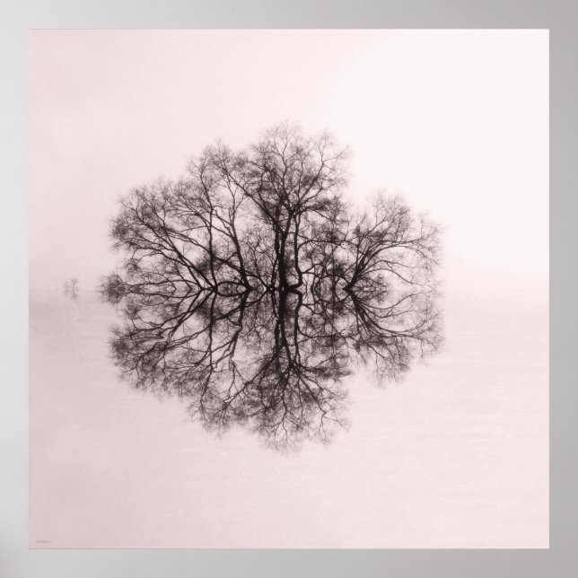 Arbre de réflexion 2 Poster d'art Imprimer (Devant)