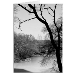 Arbre d'hiver - Central Park NYC