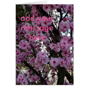 Arbre en fleurs rose,