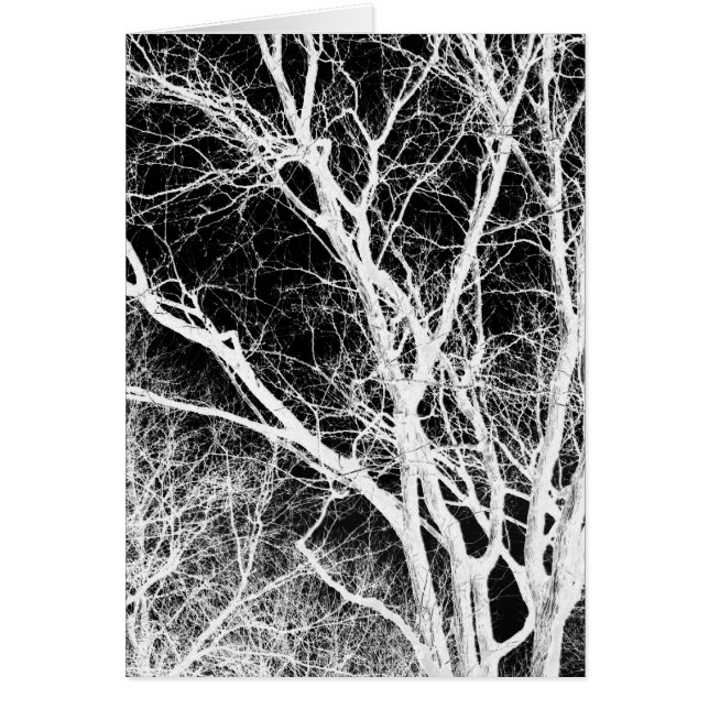 arbre fantôme (Devant)