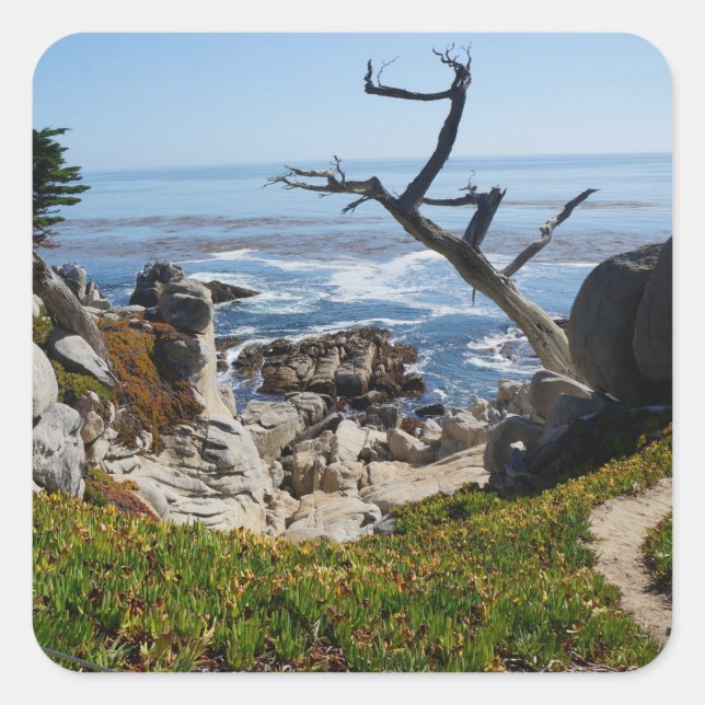 Arbre fantôme - Autocollants Pittoresques de 17 Mi (Devant)