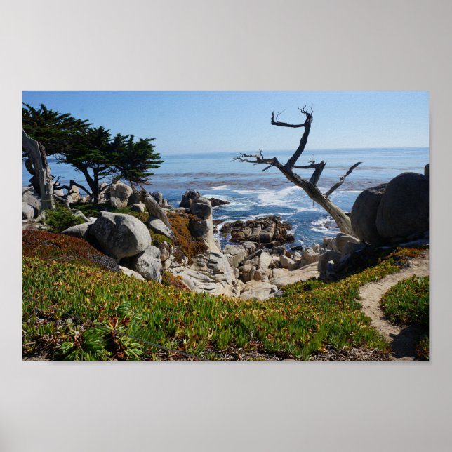 Arbre fantôme - Poster Pittoresque de 17 Mile Driv (Devant)