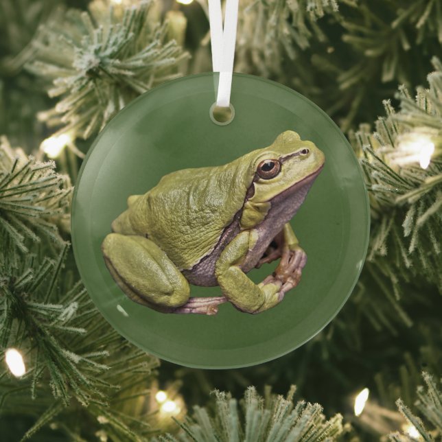 Arbre Frog Cute Zen Frog Ornement en verre de gren (Insitu)