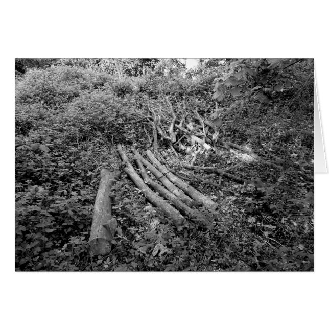 Arbre haché vers le haut (Devant horizontal)