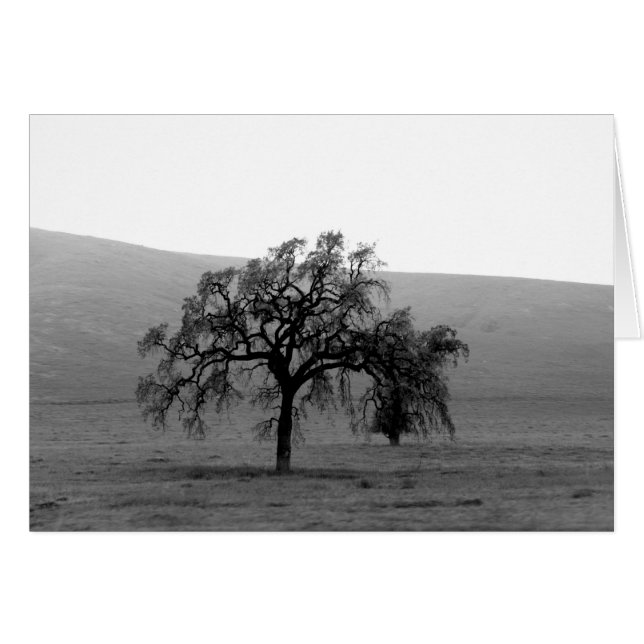 Arbre lointain (noir et blanc) (Devant Horizontal)