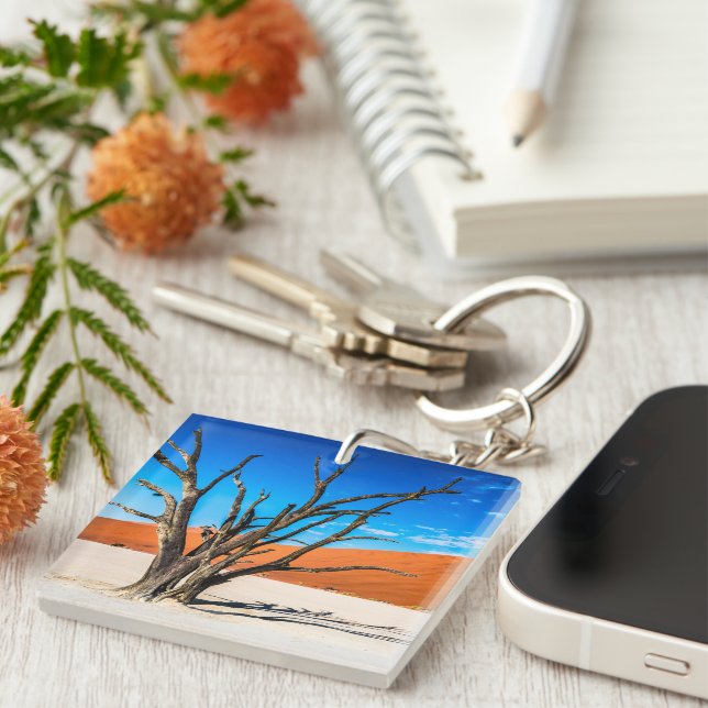 Arbre mort à Deadvlei, Namibie (Devant Droit)