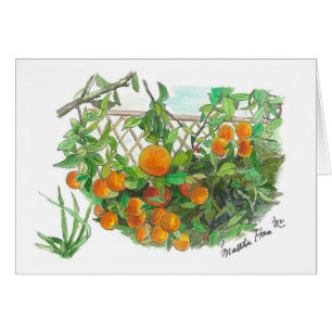 Arbre orange