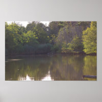 Arbre Réflexions Waterscape Photo Poster