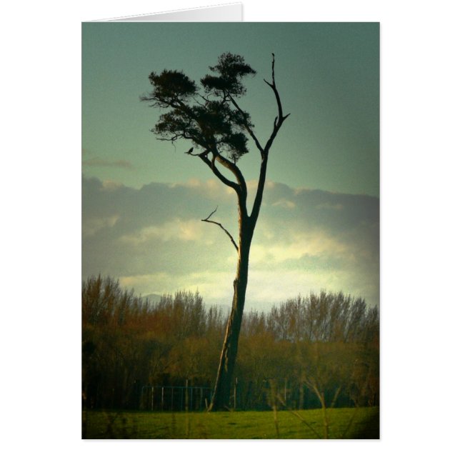 Arbre solitaire (Devant)
