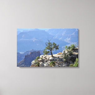 Arbre solitaire en toile enveloppée Grand Canyon