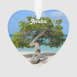 Arbre solo de Divi Divi dans Aruba