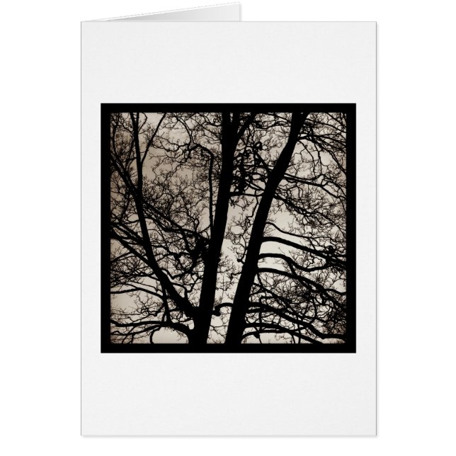 Arbre Spiritueux (Devant)