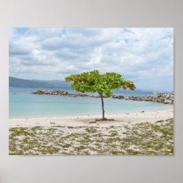 ARBRE SUR LA PLAGE EN JAMAICA POSTER