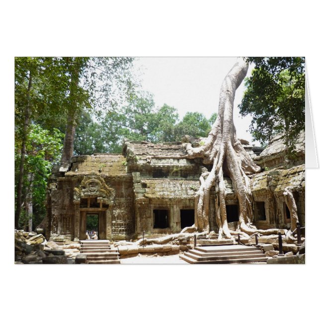 arbre ta prohm (Devant horizontal)