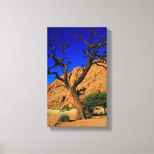 Arbre Terre Rouge Ciel Bleu Namibie Toile Imprimée