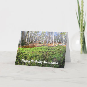 Arbre tombé dans la mousse d'automne - Carte d'ann
