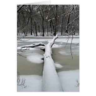 Arbre tombé en hiver