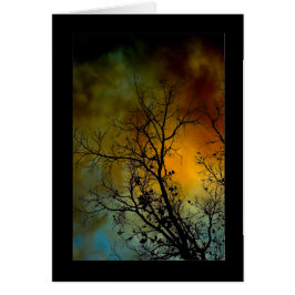 arbre un matin orageux