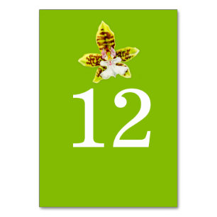 Arbre verdoyante orchidée mariage numéros de table