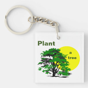 Arbre vert & Soleil jaune, Plante un Arbre