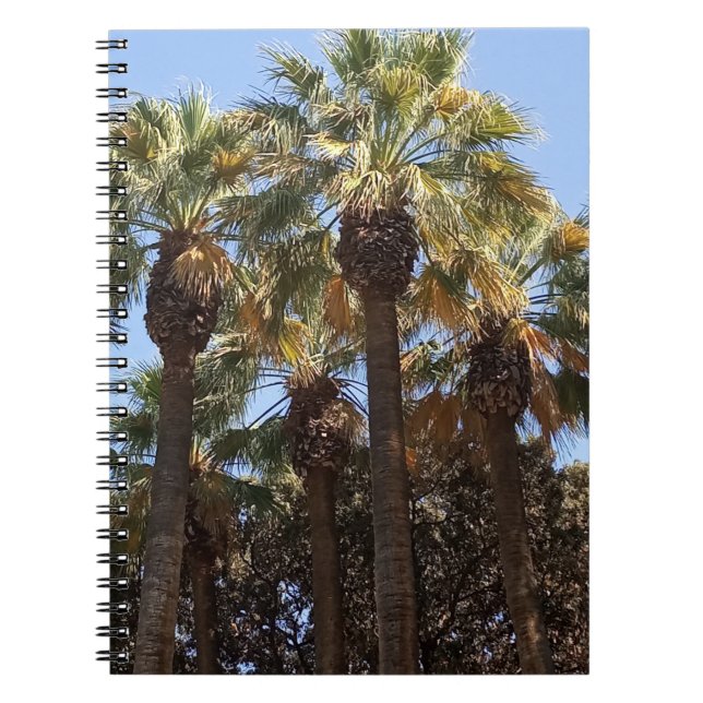 Arbres à Carnets spiraux (Devant)