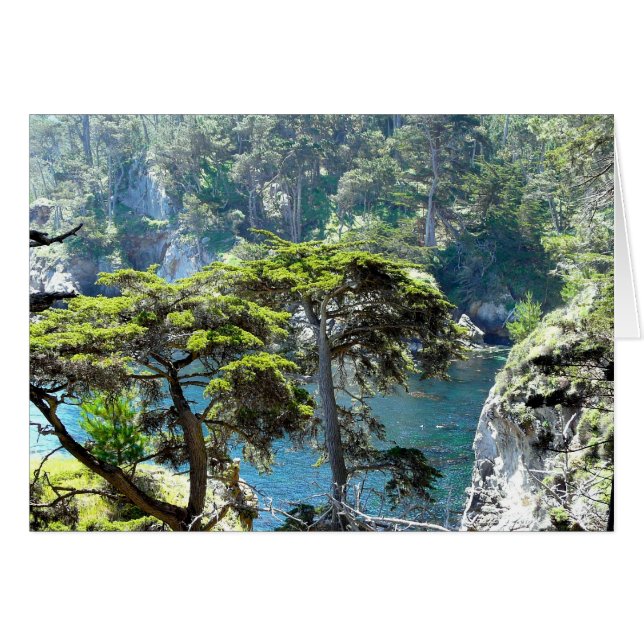 Arbres à Point Lobos (Devant Horizontal)