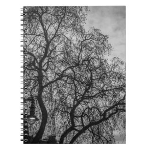 Arbres dans le carnet noir et blanc