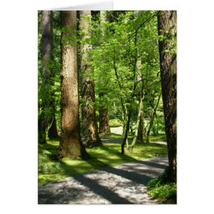 Arbres dans le jardin de Nitobe