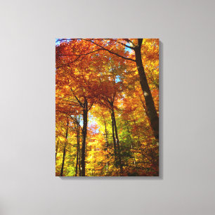 Arbres d'Art-Automne de toile