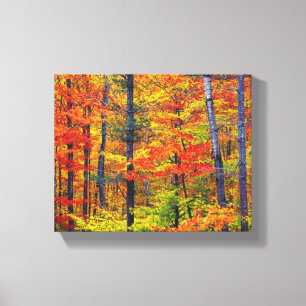 Arbres d'automne toile enveloppée