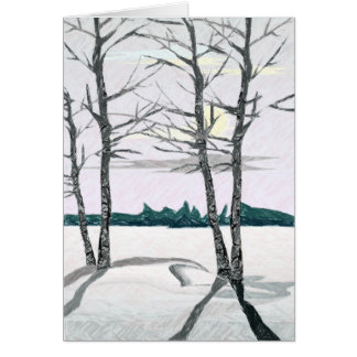 Arbres de bouleau pendant le matin