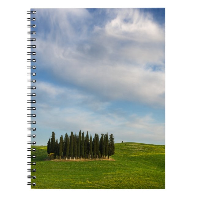 Arbres de Cypress dans le carnet de la Toscane (Devant)