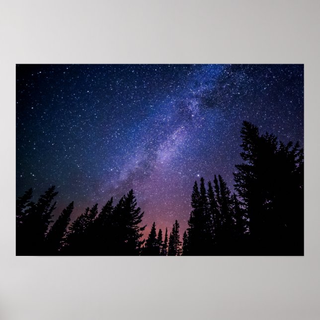 Arbres de nuit et étoiles | Poster (Devant)