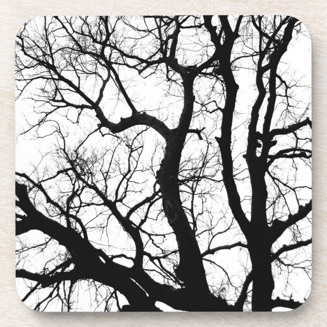 arbres d'hiver dessous de verre photo noir et blan (Devant)