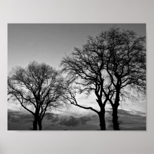 Arbres en affiche noire et blanche