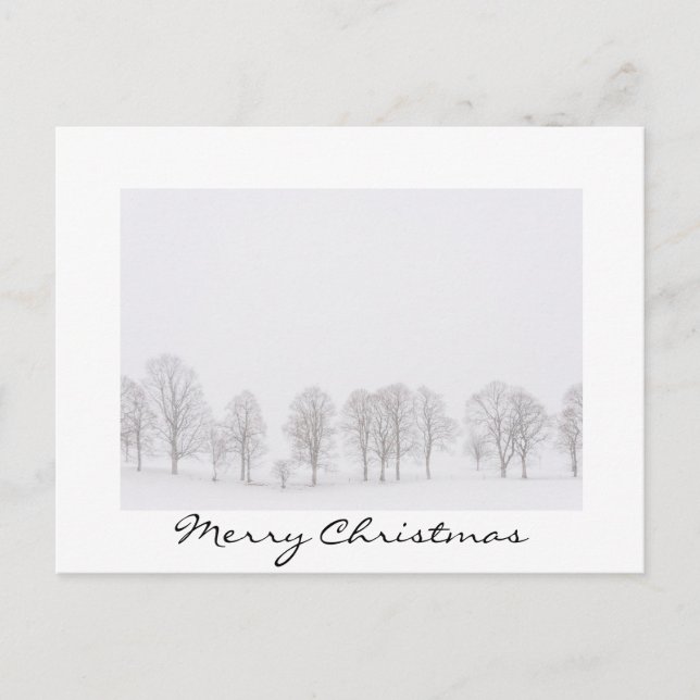 Arbres en hiver dans un monde blanc carte de noël (Devant)