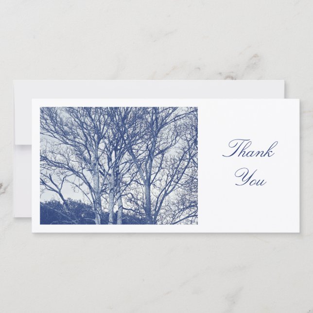Arbres en hiver - Effet Cyanotype - Merci (Devant)
