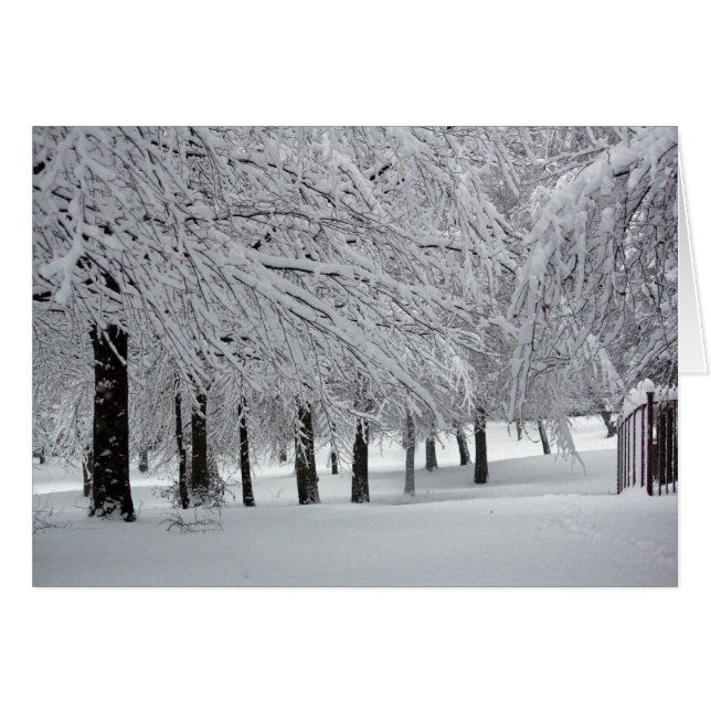 arbres et neige (Devant horizontal)