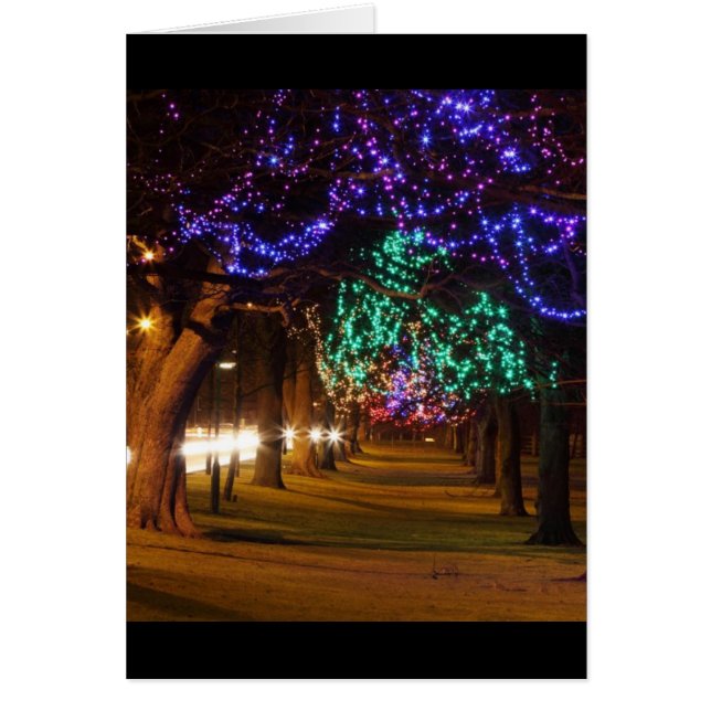 Arbres illuminés de Paris (Devant)