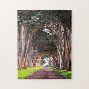 Arbres Pittoresque Puzzles Mountain Art Complex Ji