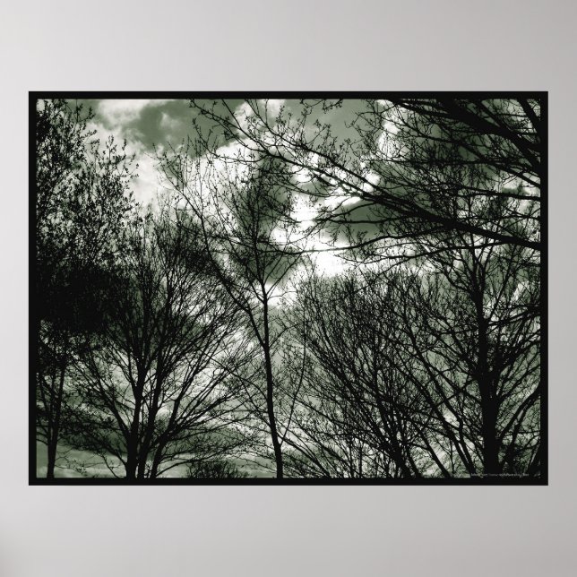 Arbres | Poster (Devant)